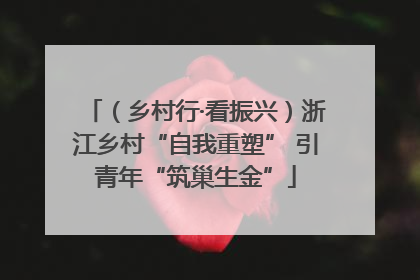 （乡村行·看振兴）浙江乡村“自我重塑” 引青年“筑巢生金”