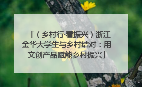 （乡村行·看振兴）浙江金华大学生与乡村结对：用文创产品赋能乡村振兴
