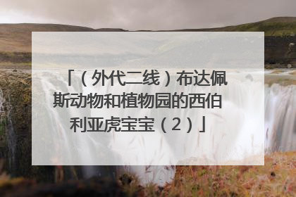 （外代二线）布达佩斯动物和植物园的西伯利亚虎宝宝（2）