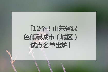 12个！山东省绿色低碳城市（城区）试点名单出炉