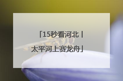 15秒看河北丨太平河上赛龙舟