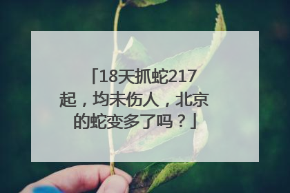 18天抓蛇217起，均未伤人，北京的蛇变多了吗？