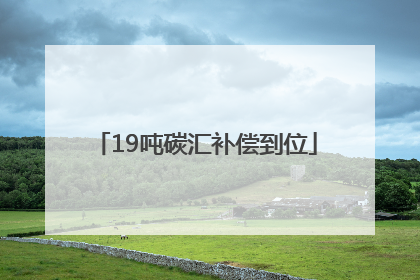 19吨碳汇补偿到位