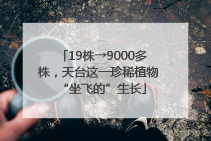 19株→9000多株，天台这一珍稀植物“坐飞的”生长