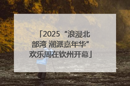 2025“浪漫北部湾 潮派嘉年华”欢乐周在钦州开幕