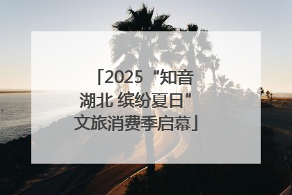 2025“知音湖北 缤纷夏日”文旅消费季启幕