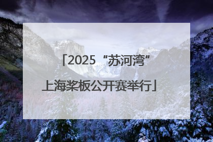 2025“苏河湾”上海桨板公开赛举行