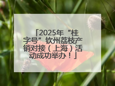 2025年“桂字号”钦州荔枝产销对接（上海）活动成功举办！