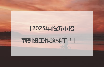 2025年临沂市招商引资工作这样干！