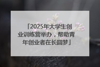 2025年大学生创业训练营举办，帮助青年创业者在长圆梦