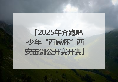 2025年奔跑吧·少年“西咸杯”西安击剑公开赛开赛