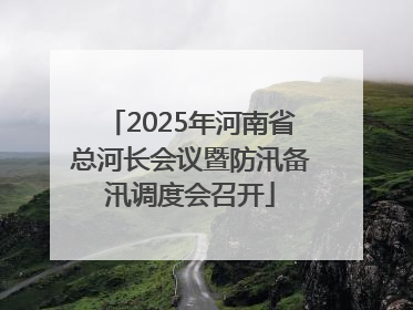 2025年河南省总河长会议暨防汛备汛调度会召开