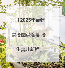 2025年福建高考圆满落幕 考生奔赴新程