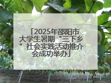 2025年邵阳市大学生暑期“三下乡”社会实践活动推介会成功举办