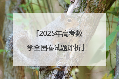 2025年高考数学全国卷试题评析