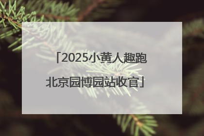 2025小黄人趣跑北京园博园站收官