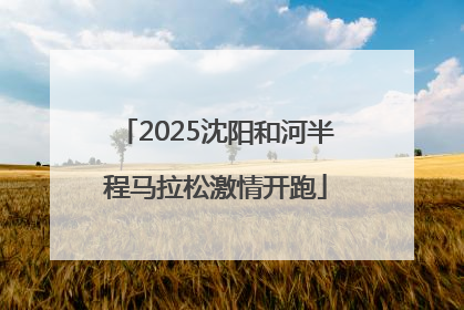 2025沈阳和河半程马拉松激情开跑