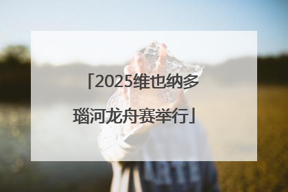 2025维也纳多瑙河龙舟赛举行