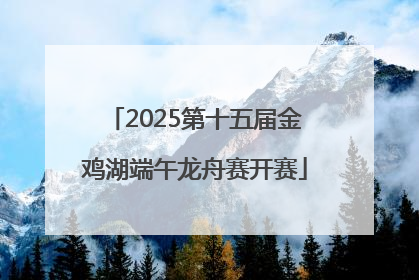 2025第十五届金鸡湖端午龙舟赛开赛