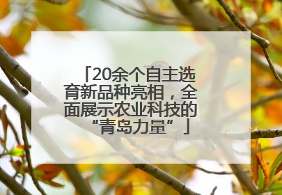 20余个自主选育新品种亮相，全面展示农业科技的“青岛力量”