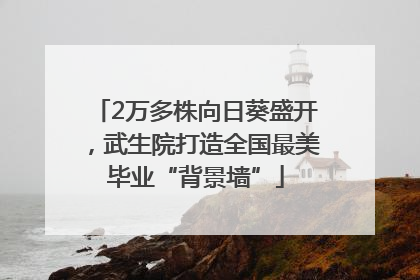 2万多株向日葵盛开，武生院打造全国最美毕业“背景墙”