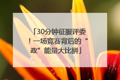 30分钟征服评委！一场竞赛背后的“政”能量大比拼