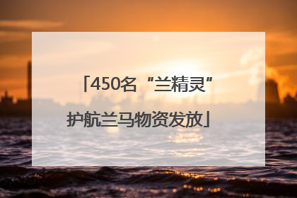 450名“兰精灵”护航兰马物资发放