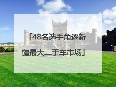 48名选手角逐新疆最大二手车市场