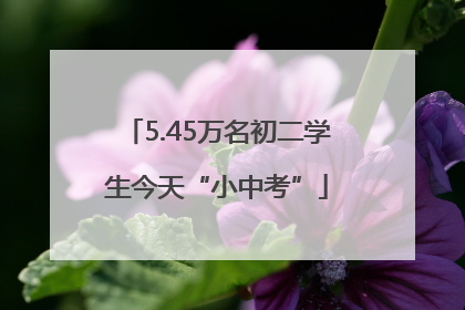 5.45万名初二学生今天“小中考”