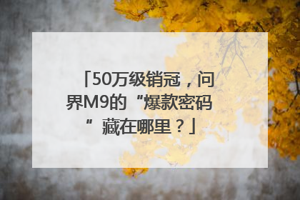 50万级销冠，问界M9的“爆款密码”藏在哪里？