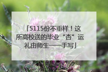 5115份不重样！这所高校送的毕业“杏”运礼由师生一一手写