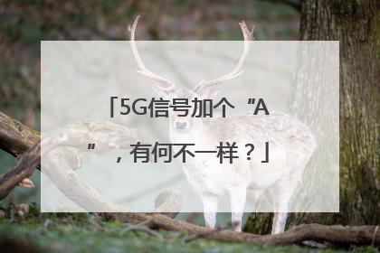 5G信号加个“A”，有何不一样？