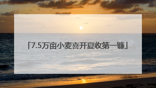 7.5万亩小麦喜开夏收第一镰