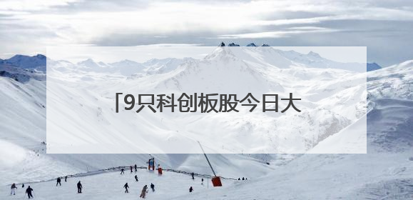 9只科创板股今日大宗交易平台发生交易