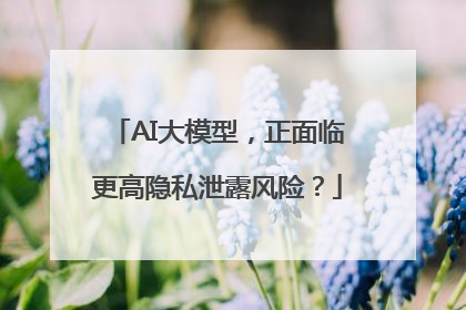 AI大模型，正面临更高隐私泄露风险？