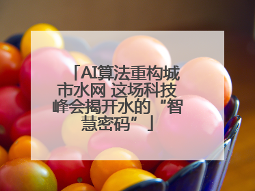 AI算法重构城市水网 这场科技峰会揭开水的“智慧密码”