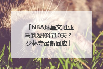 NBA球星文班亚马剃发修行10天？少林寺最新回应