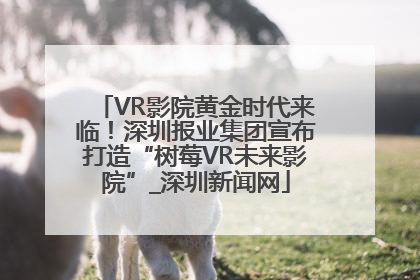 VR影院黄金时代来临！深圳报业集团宣布打造“树莓VR未来影院”_深圳新闻网